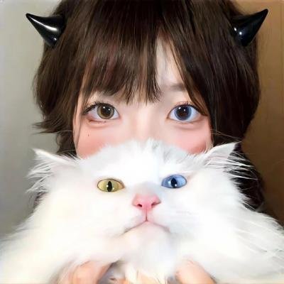 肚假情真